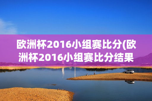 欧洲杯2016小组赛比分(欧洲杯2016小组赛比分结果)