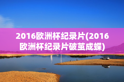 2016欧洲杯纪录片(2016欧洲杯纪录片破茧成蝶)