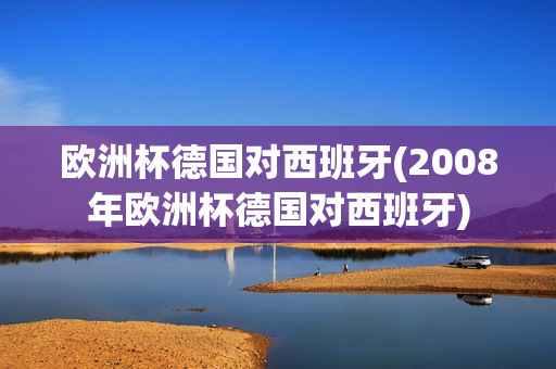 欧洲杯德国对西班牙(2008年欧洲杯德国对西班牙)